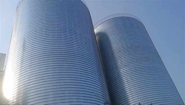 蕉城2座混凝土高架卷板仓